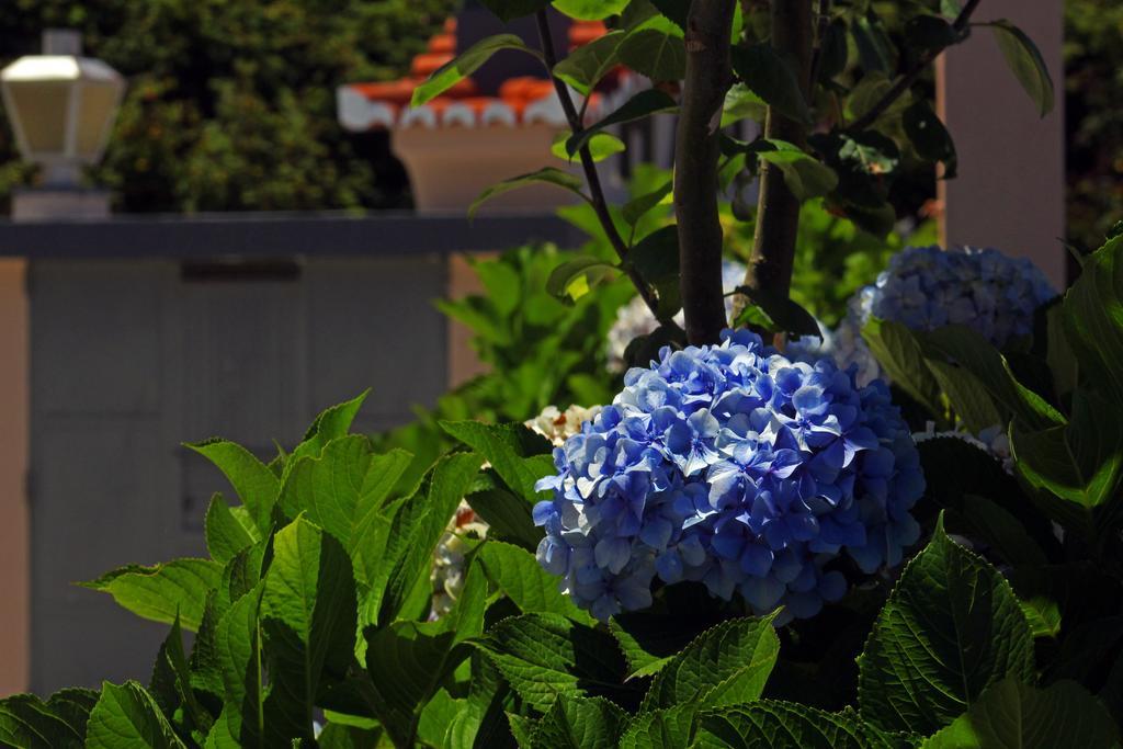 Casa Os Manos Guest House Santana  Eksteriør bilde
